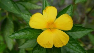 Gd5805146782e2875cfe5bd2b3992784c525af6d33f7d4f3d615149f2eb6be763ee867aeeaab2290a2104e166b2ef5734162cb5bbba85a34a411a2408afe7d5be 640