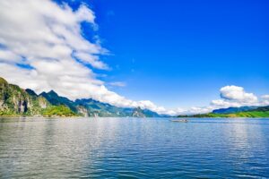 Image thewillowtreegroup.co.uk 1771 1746172834392